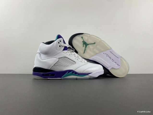 (2013) Jordan Retro 136027-108 Air Grape 5 0916